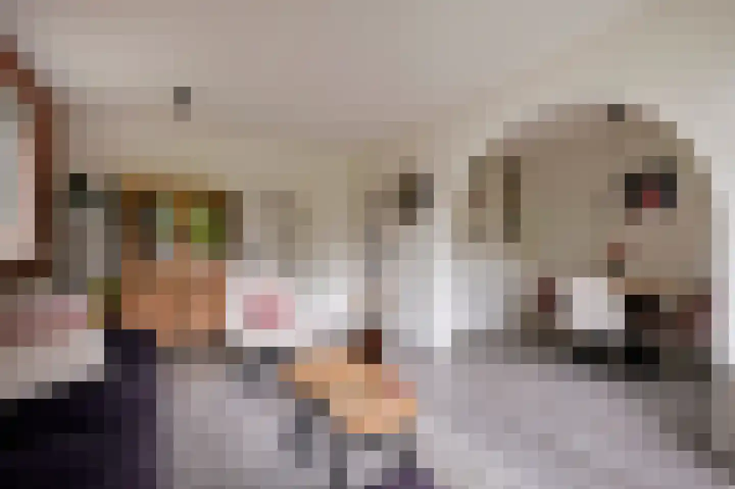 Nobellaan 48 Assen thumbnail 22