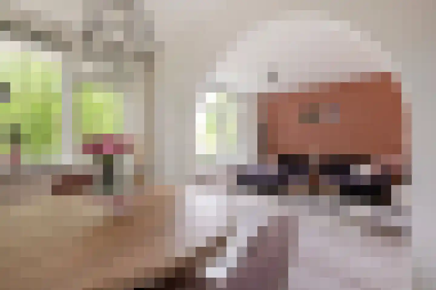 Nobellaan 48 Assen thumbnail 27
