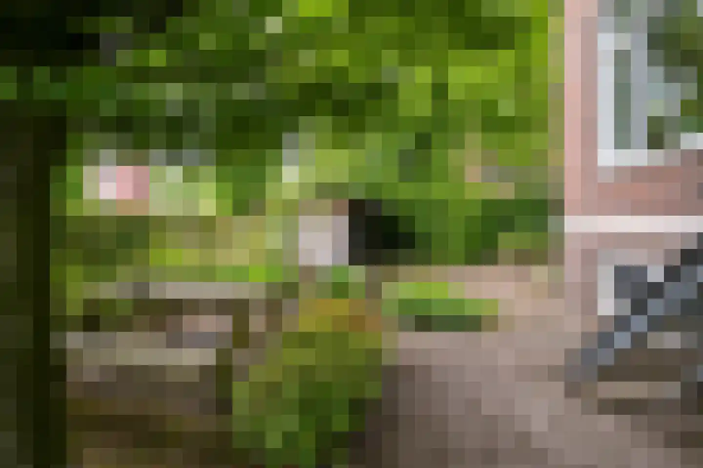 Nobellaan 48 Assen thumbnail 32