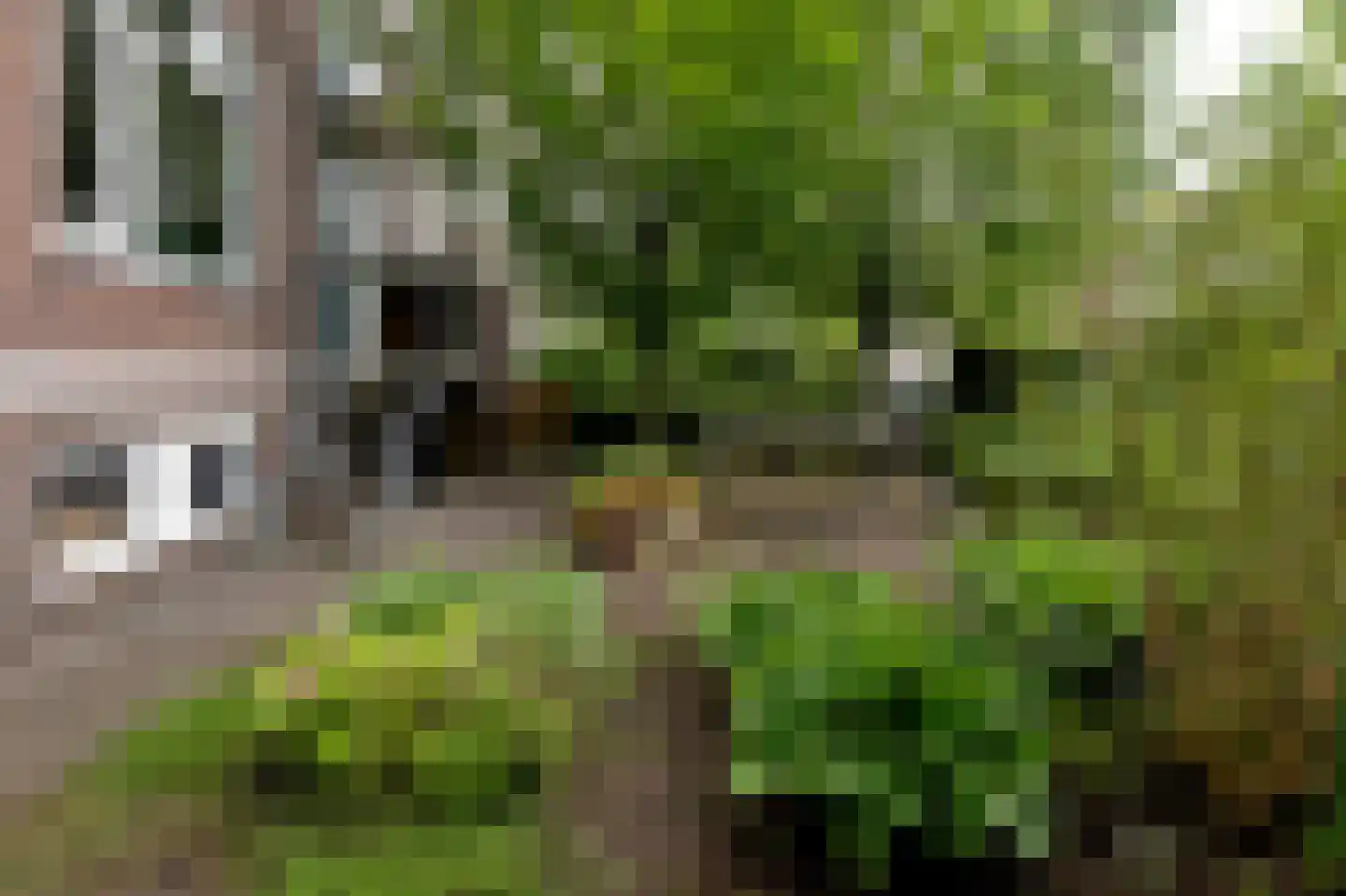 Nobellaan 48 Assen thumbnail 33