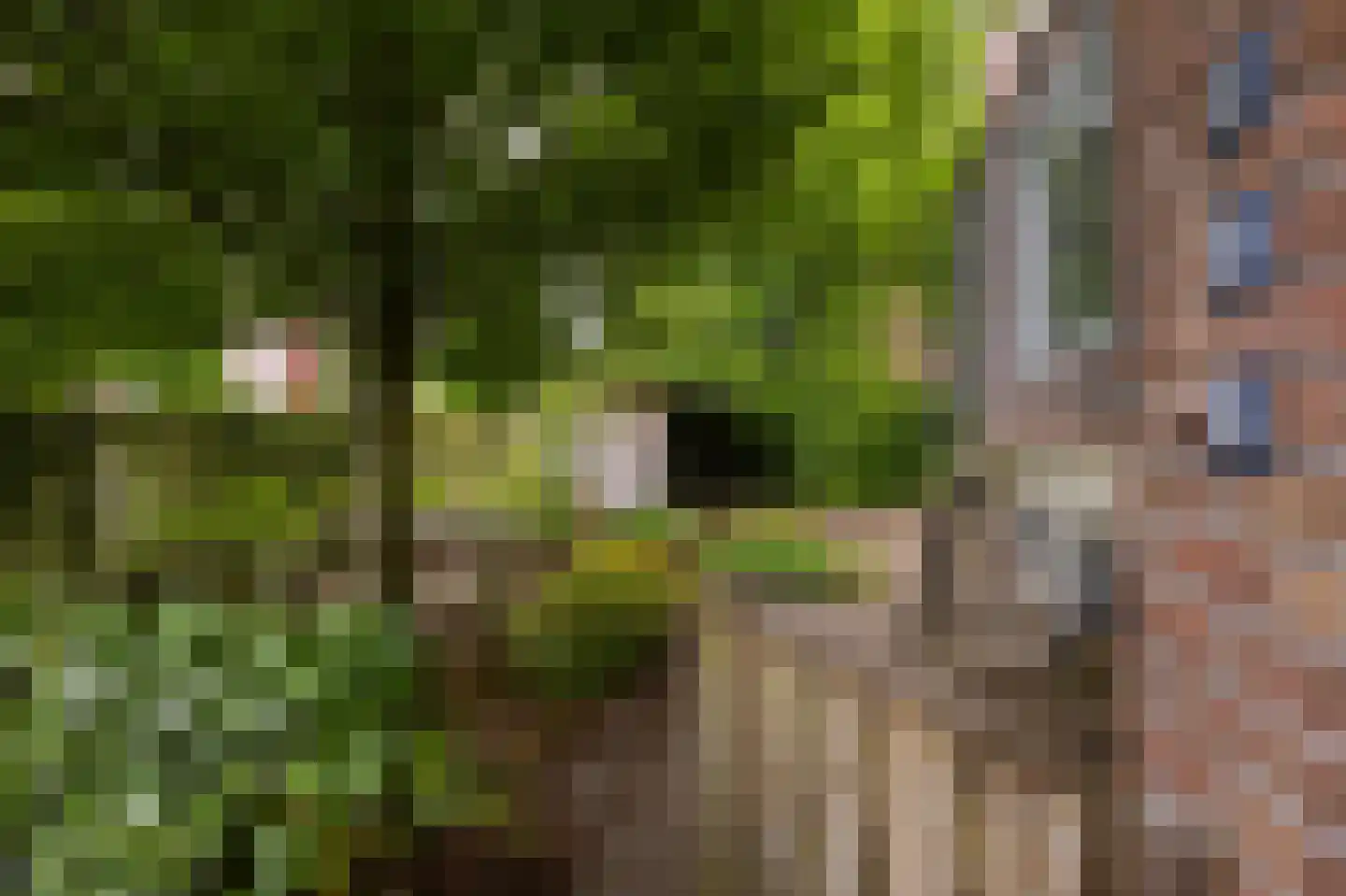 Nobellaan 48 Assen thumbnail 34