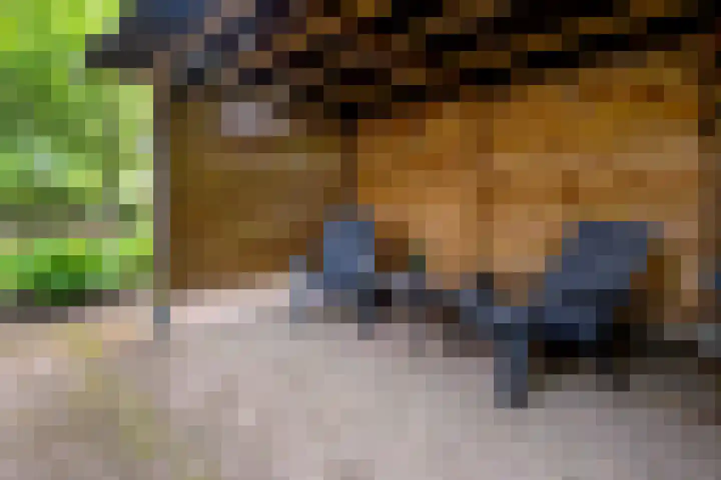 Nobellaan 48 Assen thumbnail 36