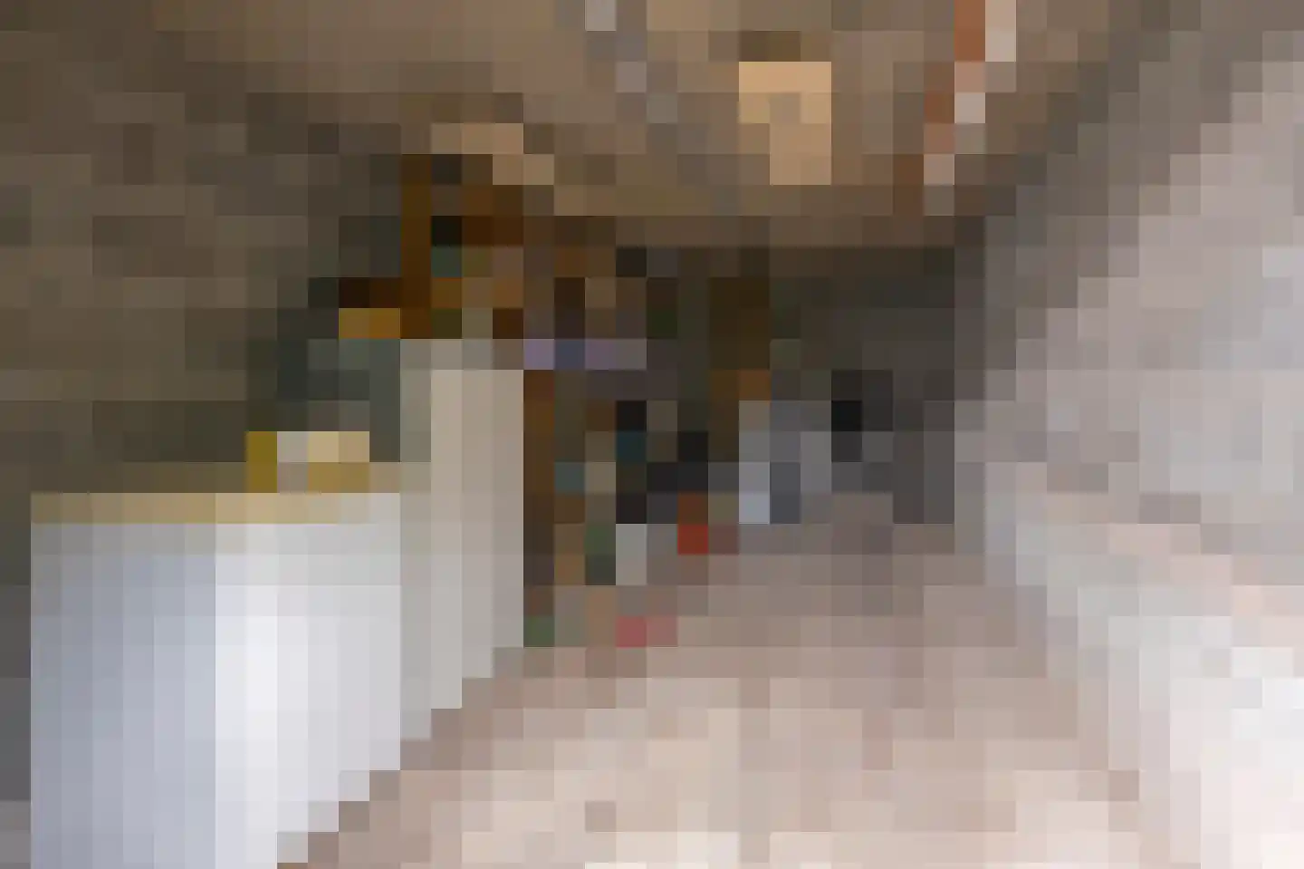 Nobellaan 48 Assen thumbnail 39