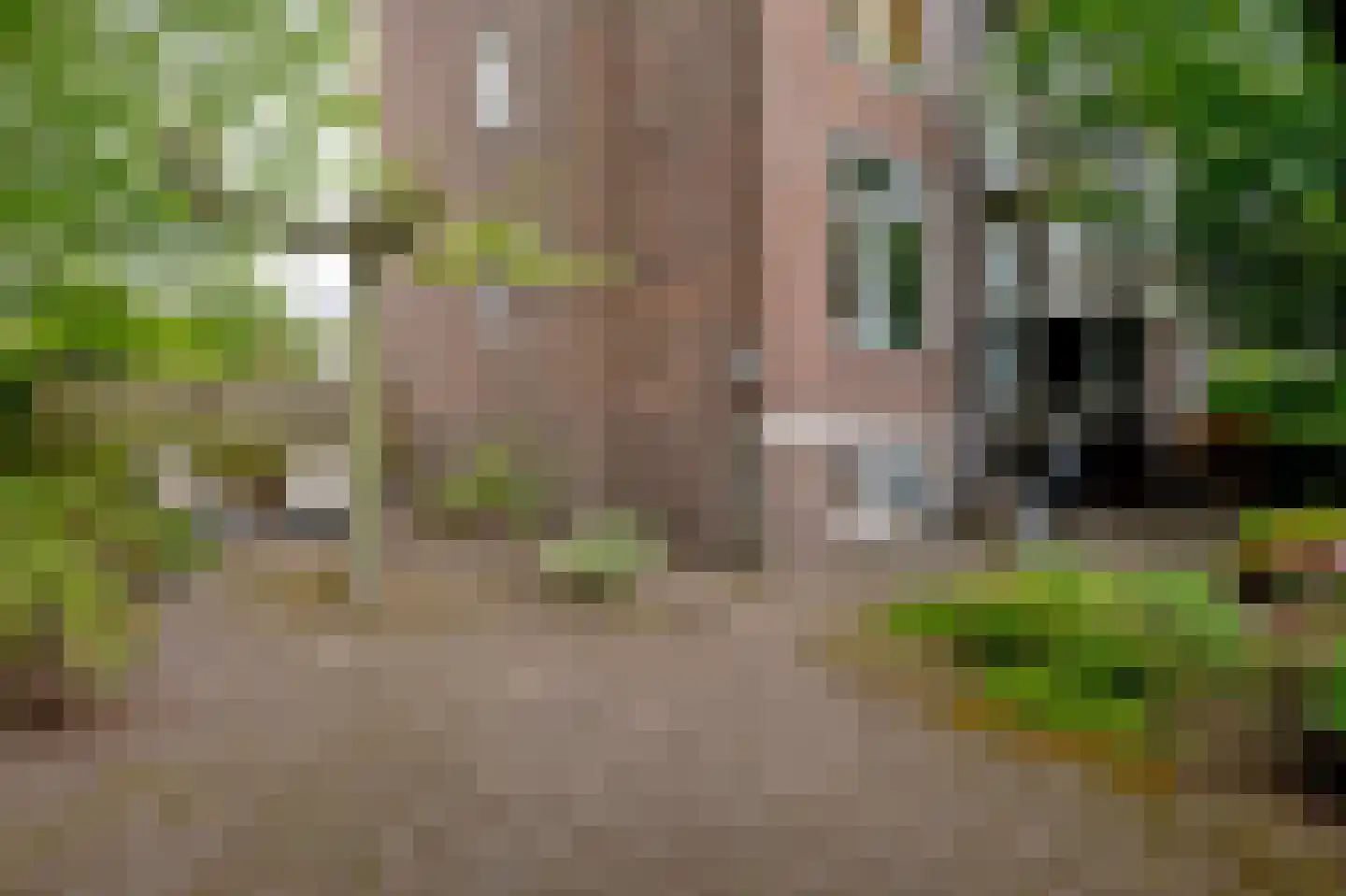 Nobellaan 48 Assen thumbnail 4