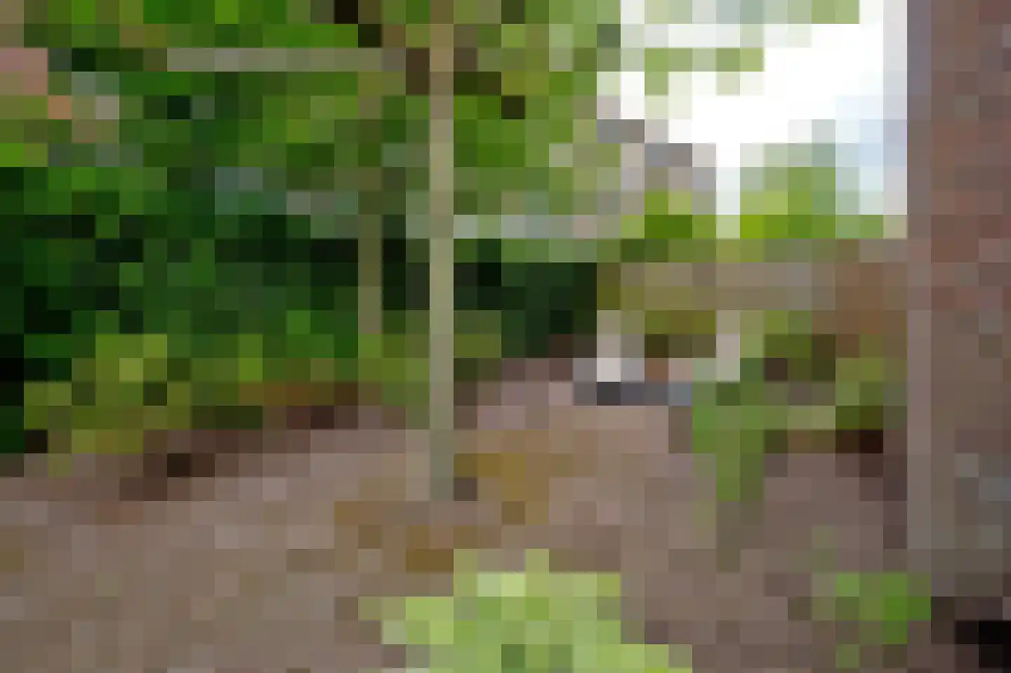 Nobellaan 48 Assen thumbnail 42