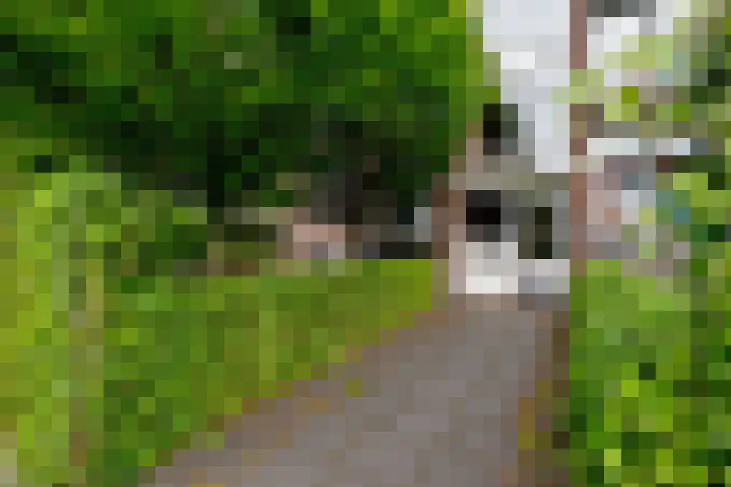 Nobellaan 48 Assen thumbnail 7