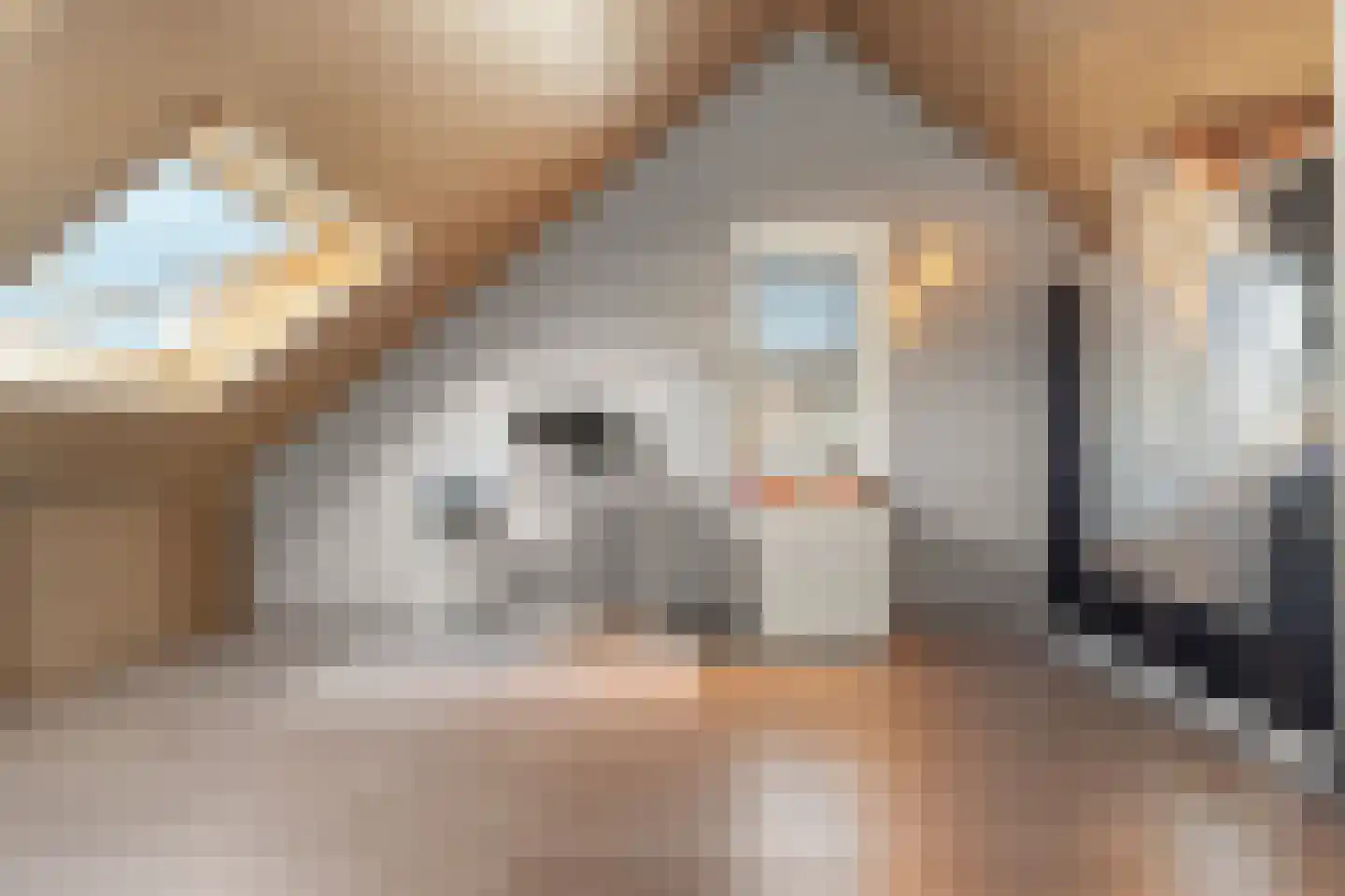 Nobellaan 53 Almere thumbnail 38