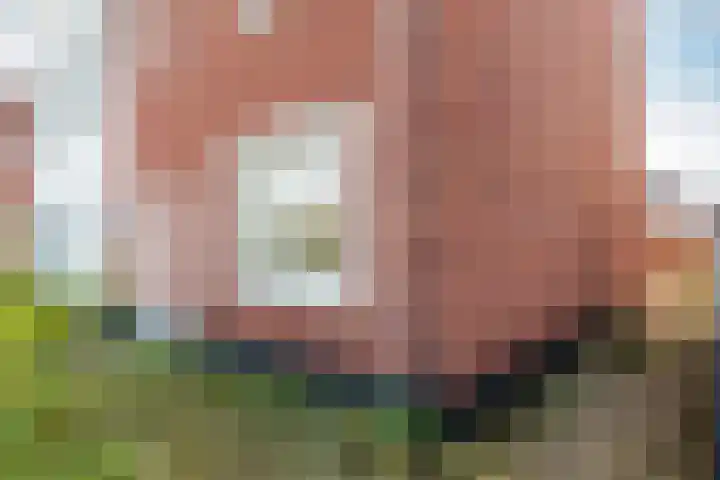 Nobellaan 62 Almere thumbnail 4