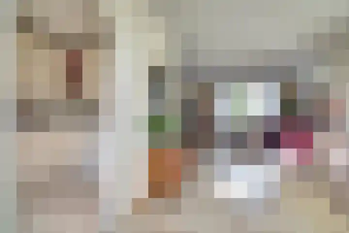 Nobellaan 7 Vlijmen thumbnail 11