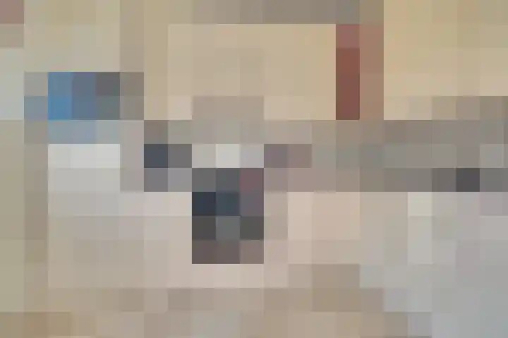 Nobellaan 7 Vlijmen thumbnail 12