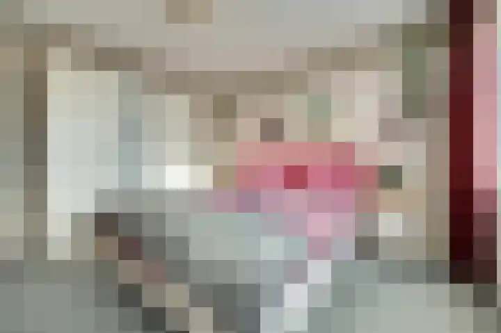 Nobellaan 7 Vlijmen thumbnail 17