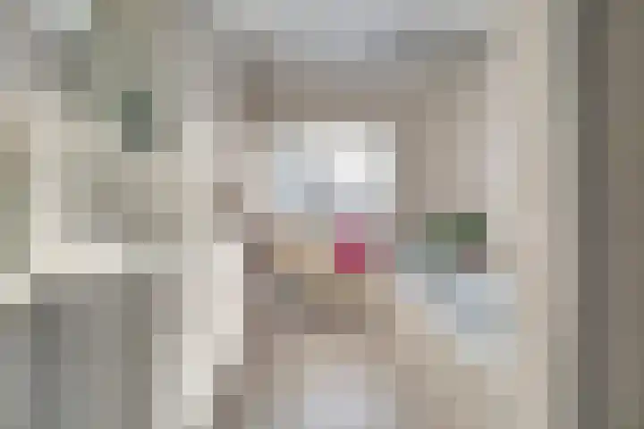 Nobellaan 7 Vlijmen thumbnail 20