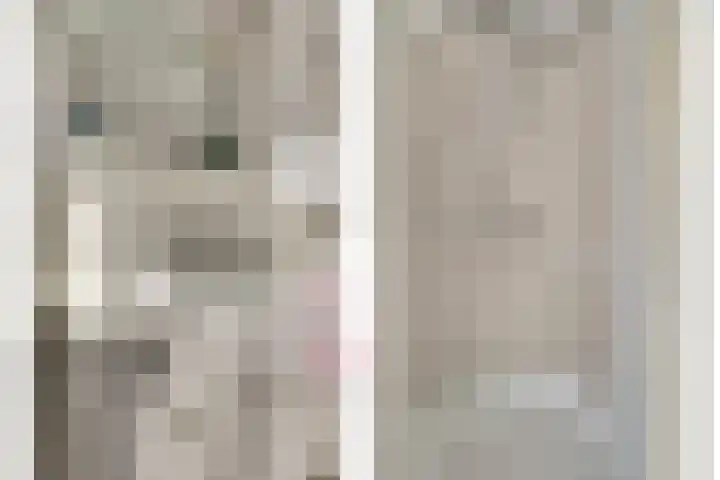 Nobellaan 7 Vlijmen thumbnail 23