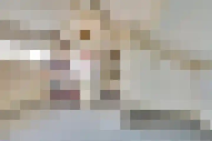 Nobellaan 7 Vlijmen thumbnail 26