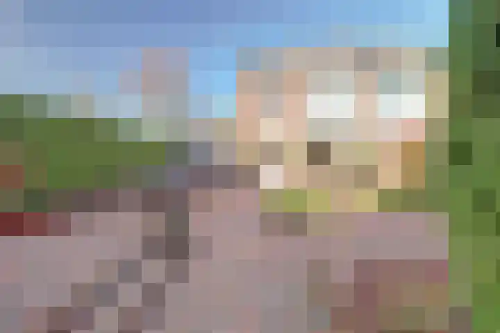 Nobellaan 7 Vlijmen thumbnail 31