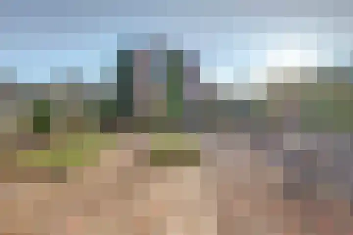Nobellaan 7 Vlijmen thumbnail 33