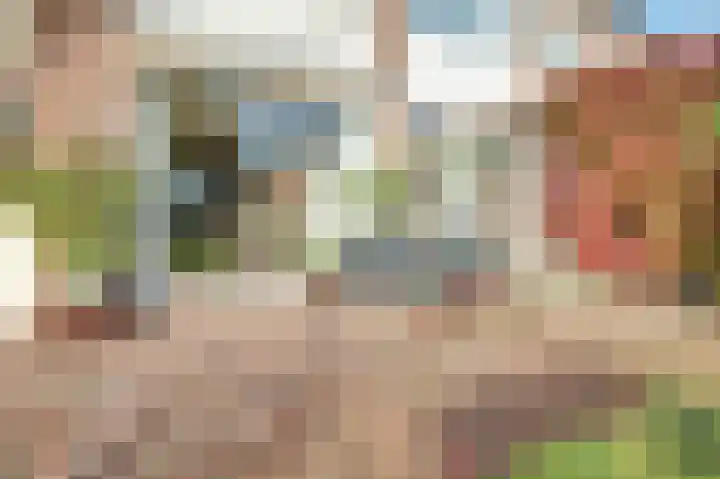 Nobellaan 7 Vlijmen thumbnail 35