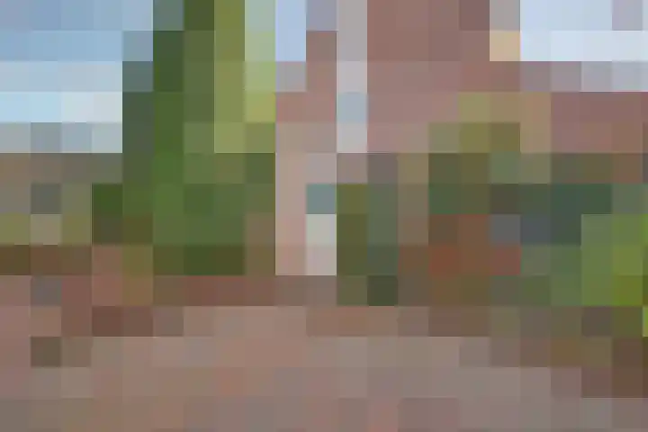 Nobellaan 7 Vlijmen thumbnail 37
