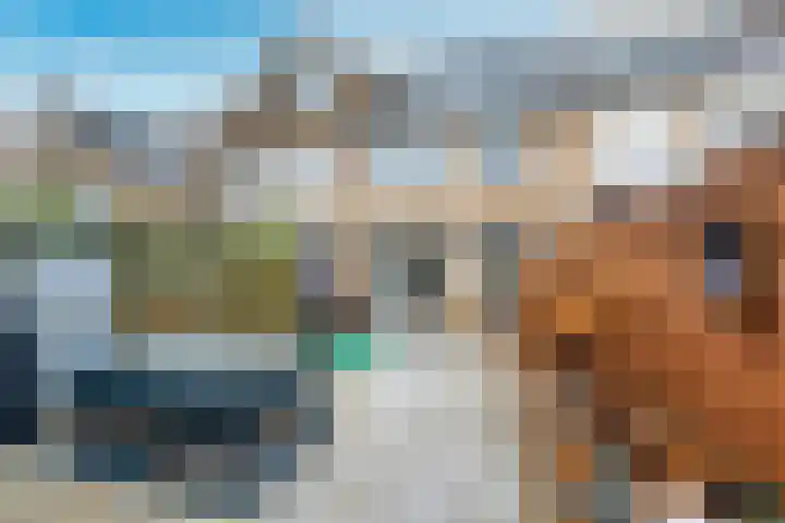 Nobelslag 156 Houten thumbnail 13