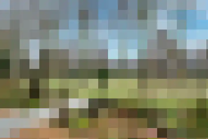 Nobelslag 156 Houten thumbnail 27