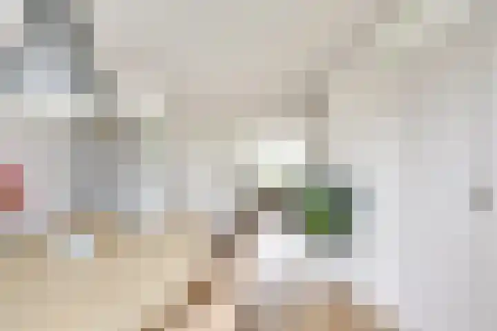 Nobelslag 156 Houten thumbnail 9