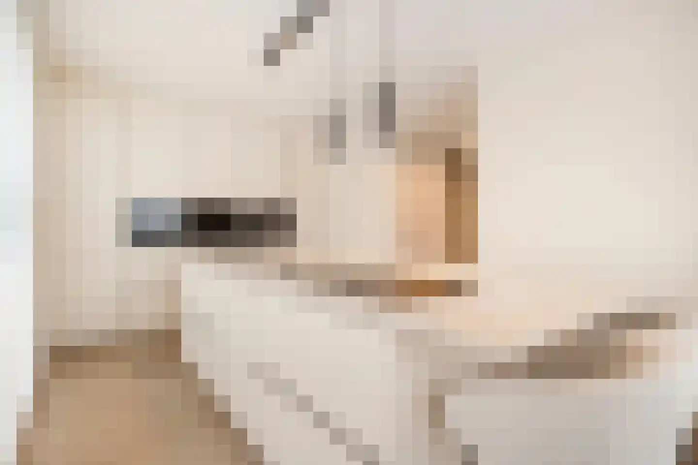 Nobelstraat 1 Ede thumbnail 12
