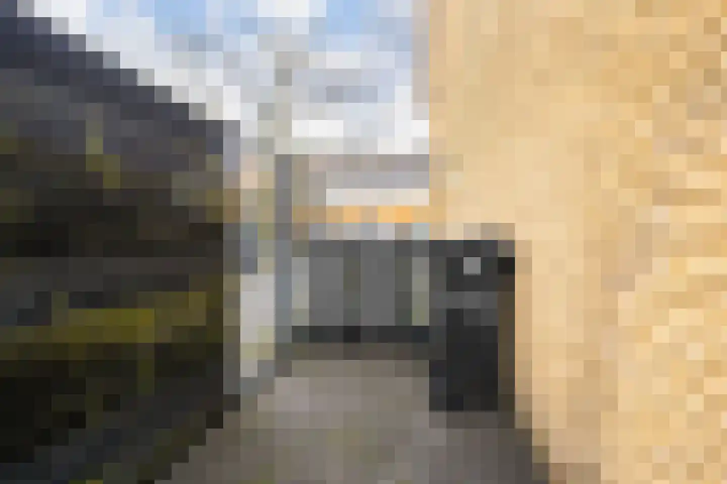 Nobelstraat 1 Ede thumbnail 43