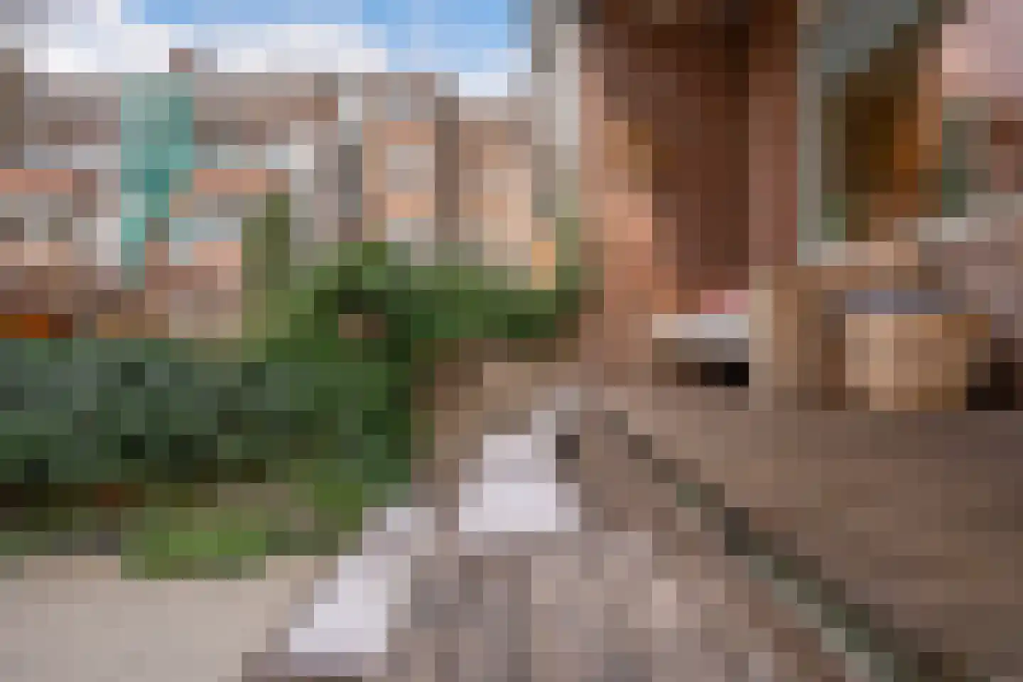 Nobelstraat 109 B 01 Rotterdam thumbnail 17