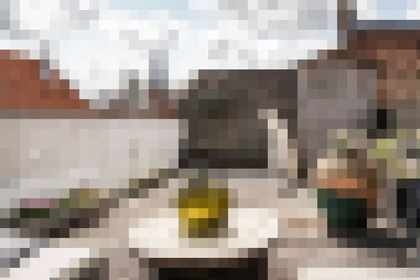 Nobelstraat 14 Haarlem thumbnail 27