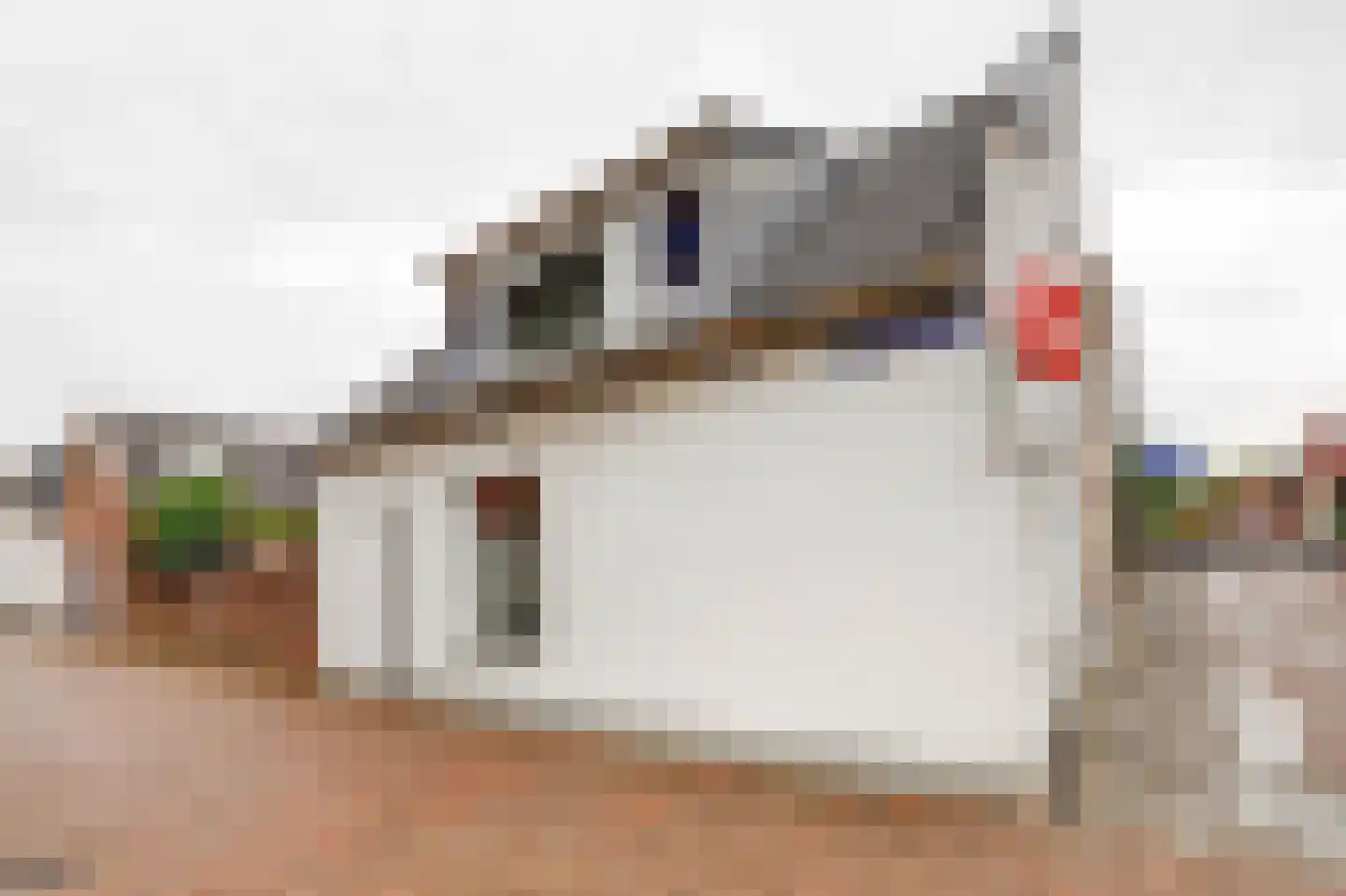 Nobelstraat 27 Oud-Beijerland thumbnail 17