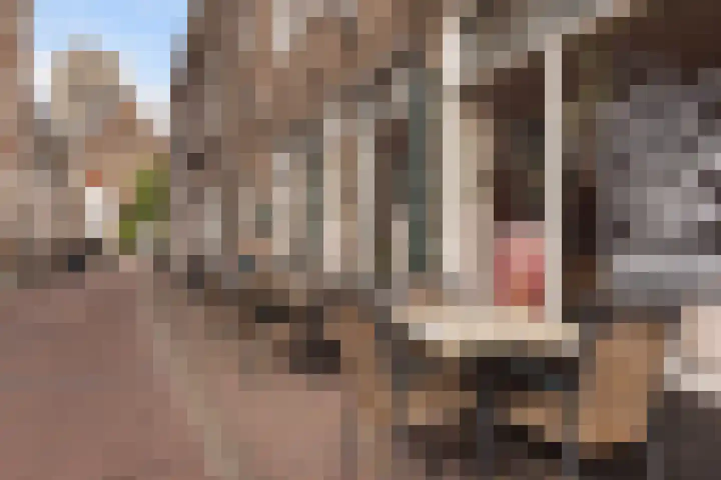 Nobelstraat 4 a Brielle thumbnail 38