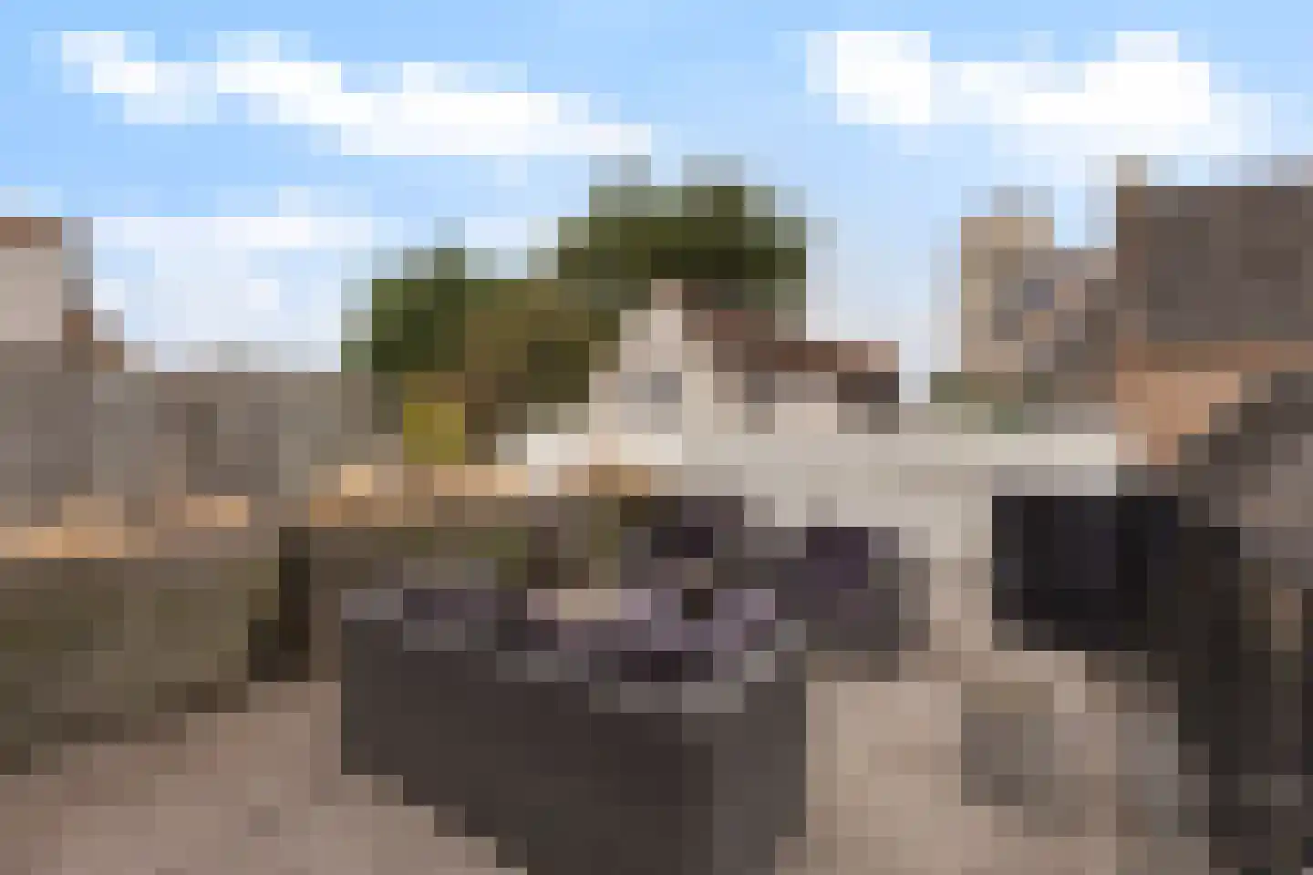 Nobelstraat 4 a Brielle thumbnail 5