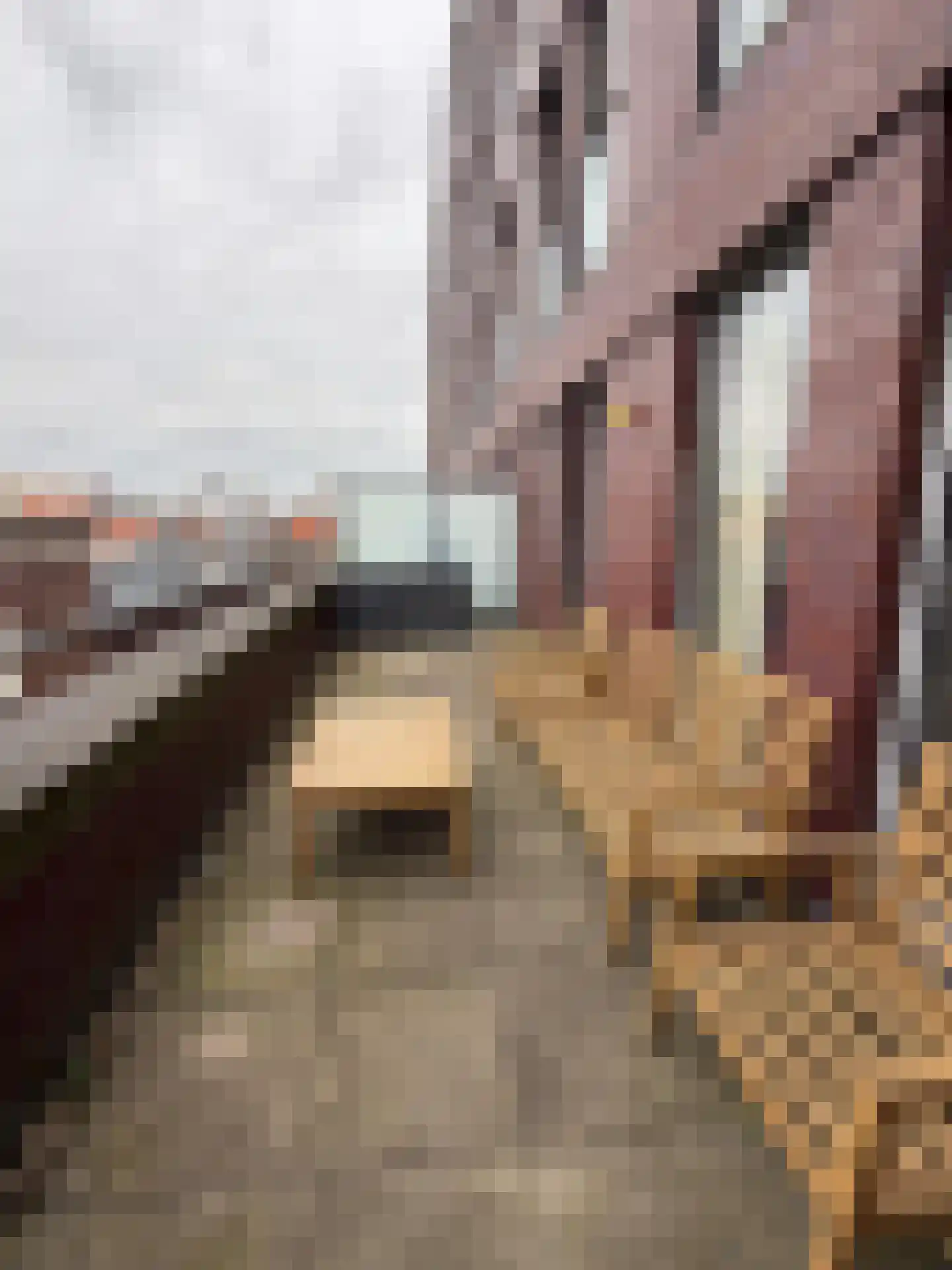 Nobelstraat 4 D Den Haag thumbnail 21
