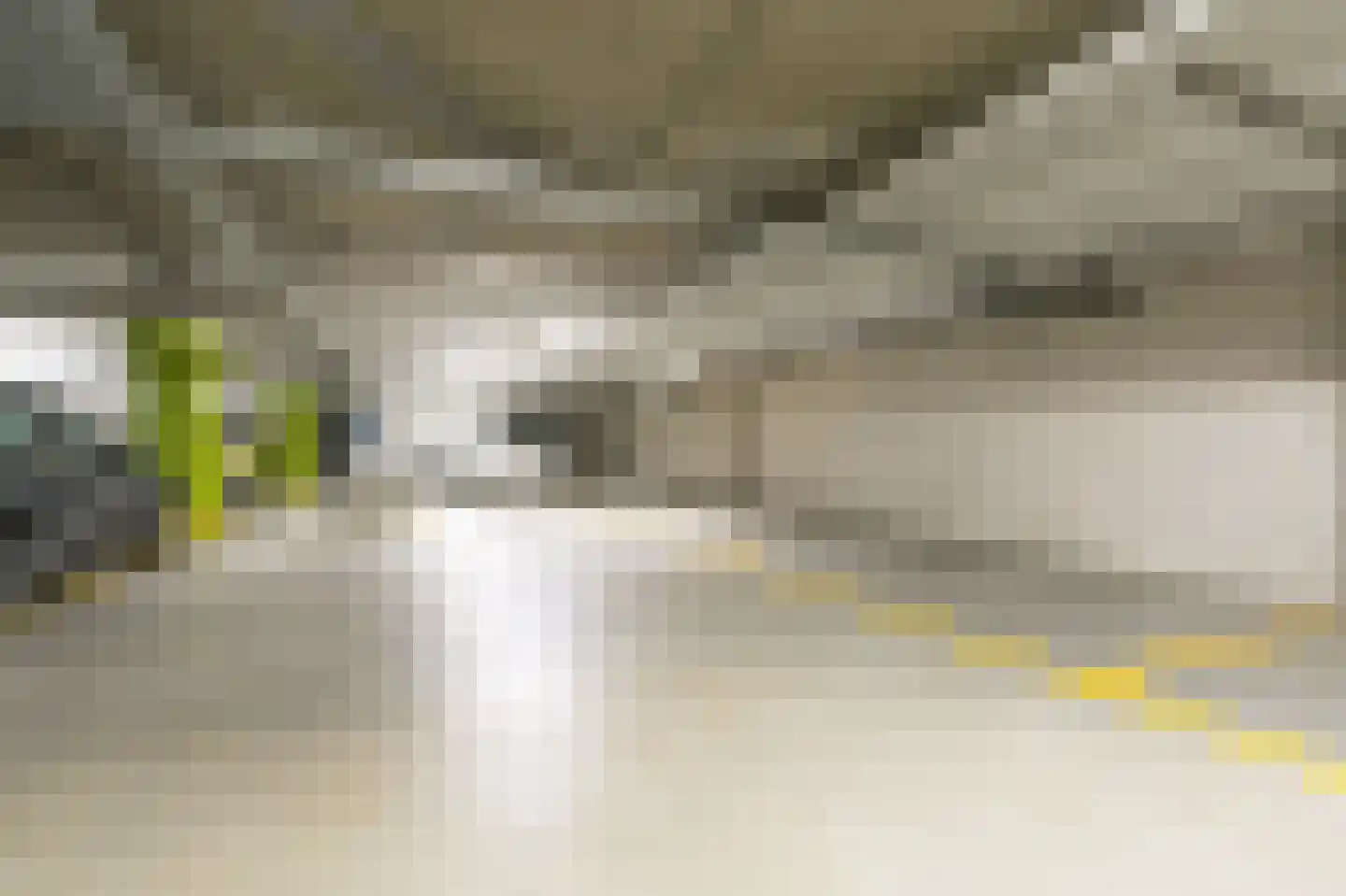 Nobelstraat 4 D Den Haag thumbnail 31