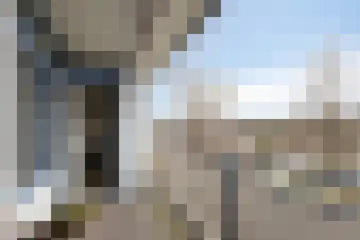 Nobelstraat 46 Apeldoorn thumbnail 19