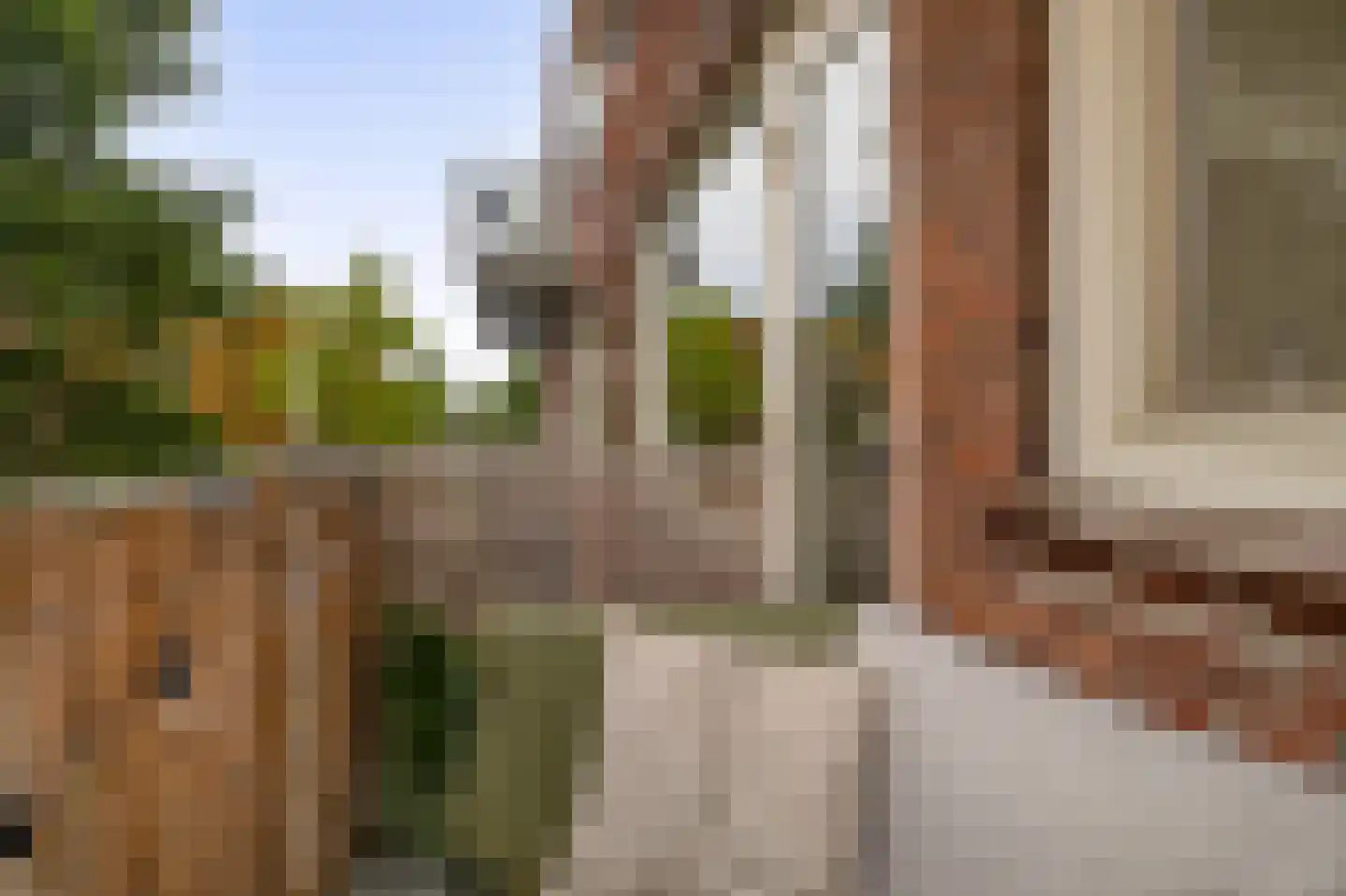 Nobelstraat 5 B Rotterdam thumbnail 22