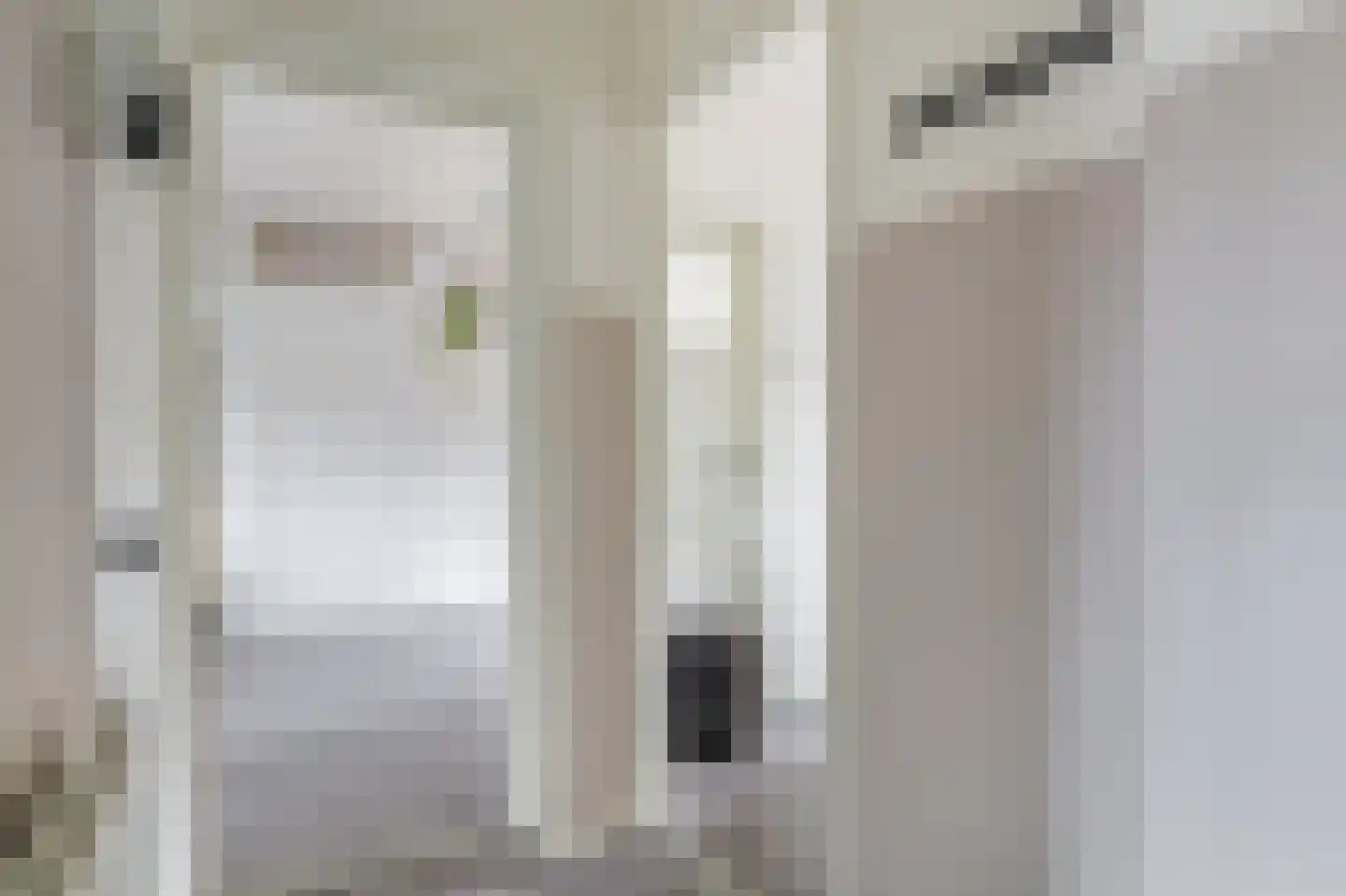 Nobelstraat 5 B Rotterdam thumbnail 7