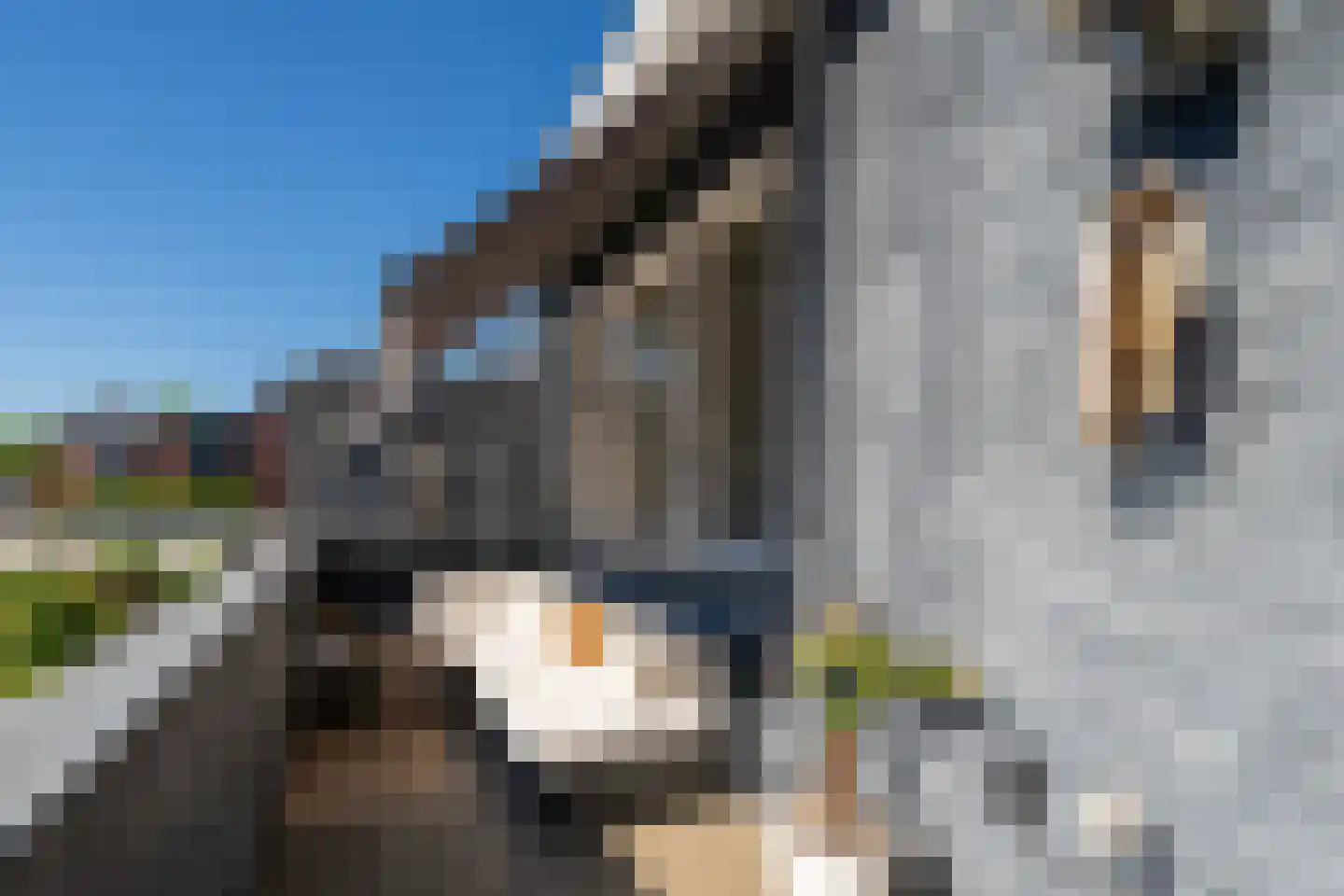 Nobelstraat 53 Heerlen thumbnail 19