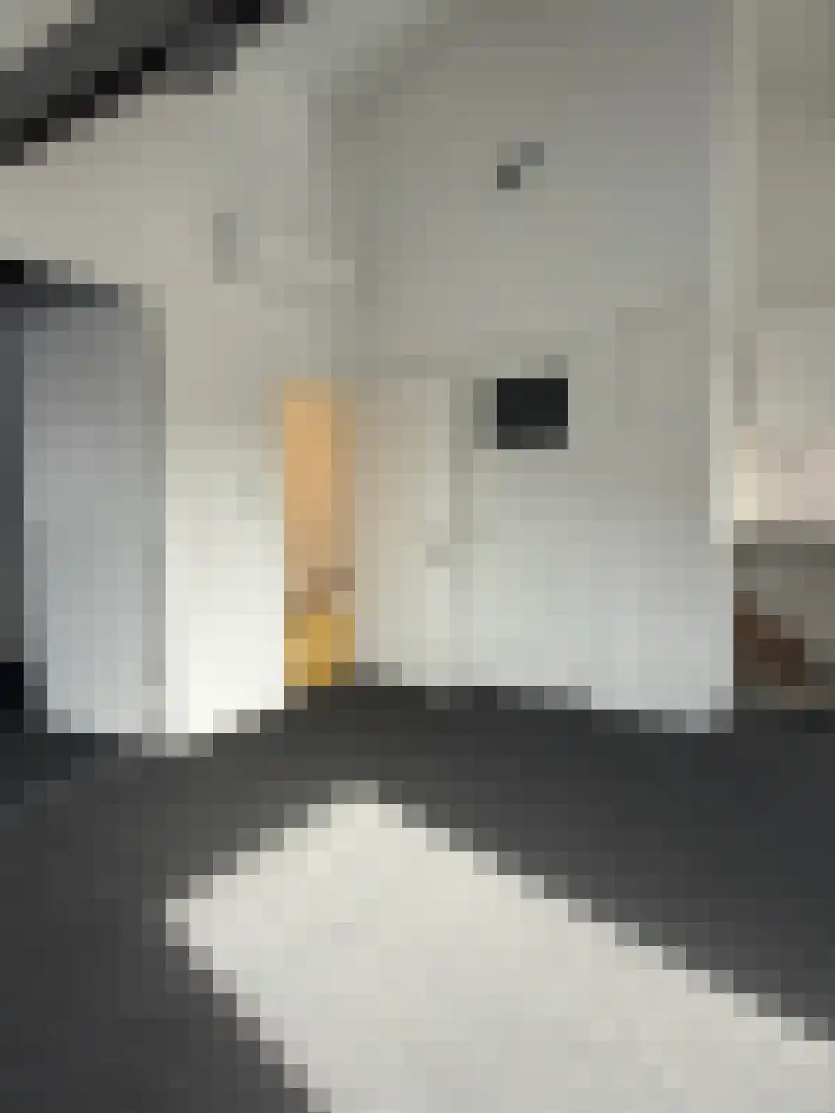 Nobelstraat 54 Heerlen thumbnail 6