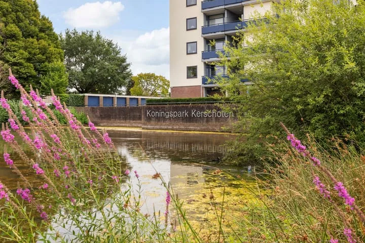 Nobelstraat 56 Apeldoorn thumbnail 6