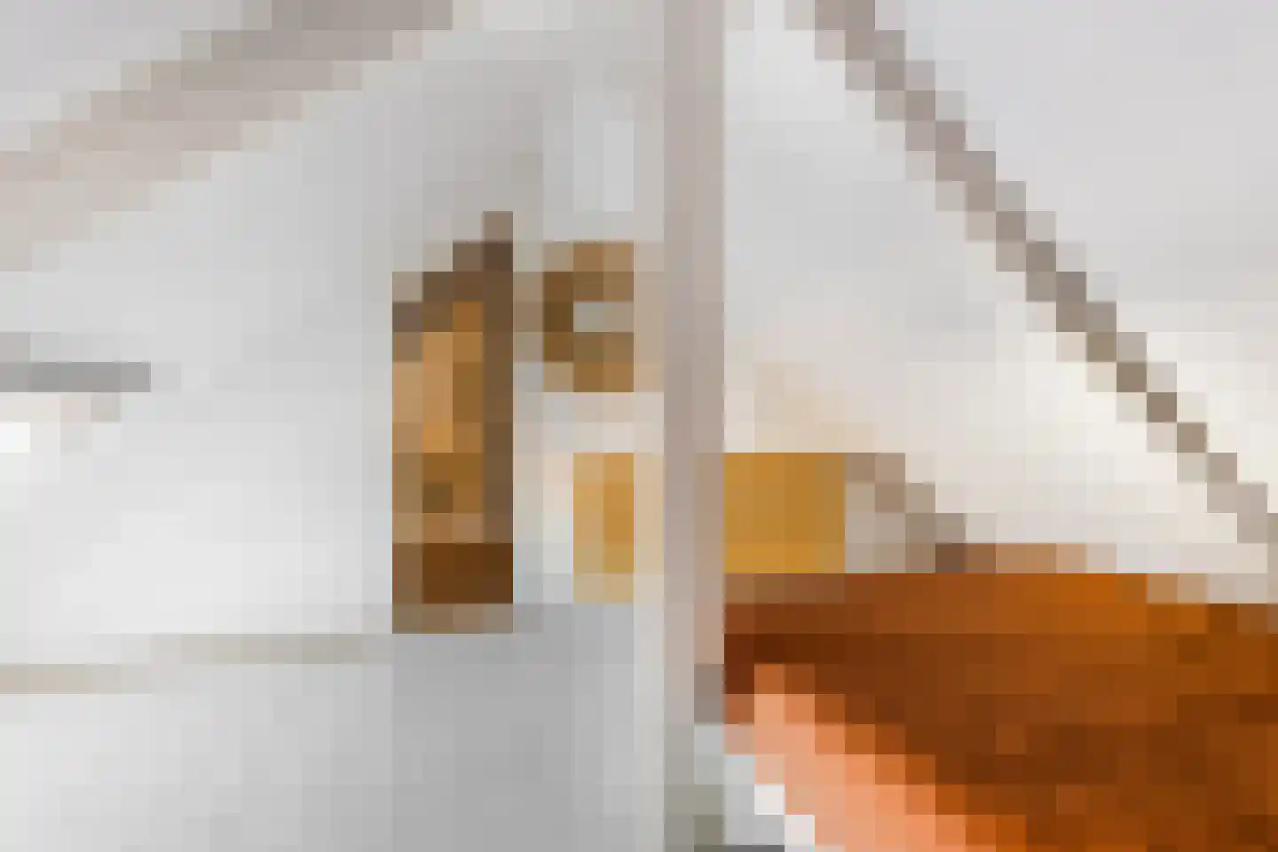 Nobelstraat 6 Haarlem thumbnail 38
