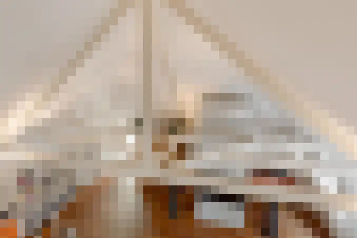 Nobelstraat 6 Haarlem thumbnail 39