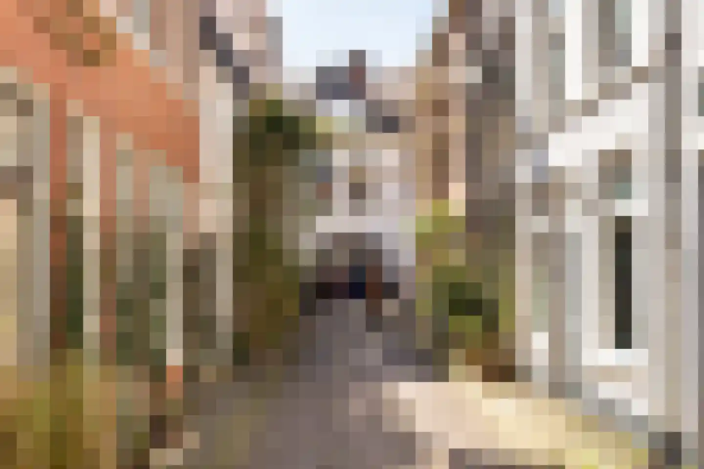 Nobelstraat 6 Haarlem thumbnail 46