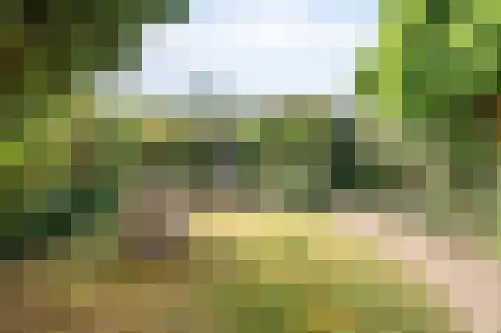 Nobelstraat 7 Geleen thumbnail 15