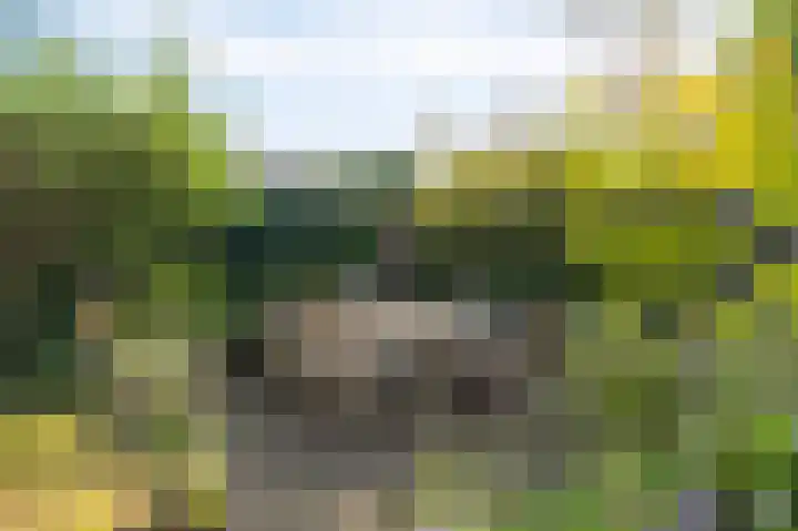 Nobelstraat 7 Geleen thumbnail 17