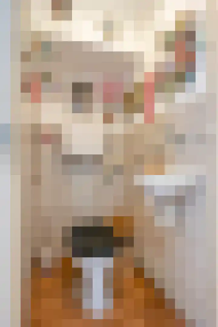 Nobelstraat 7 Geleen thumbnail 5