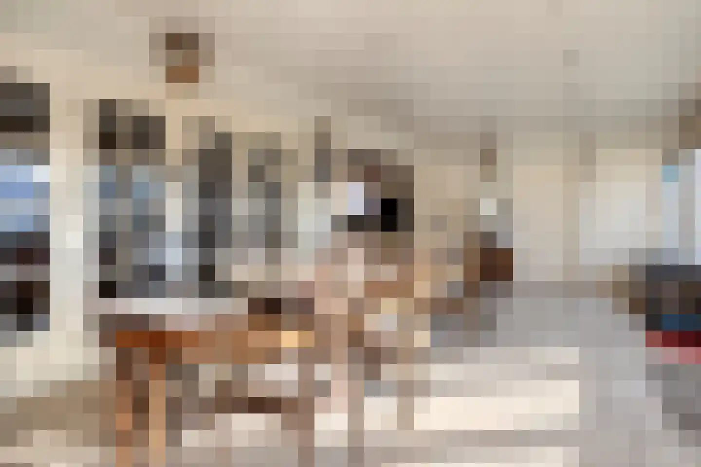 Nobelstraat 7 Nieuw Namen thumbnail 15