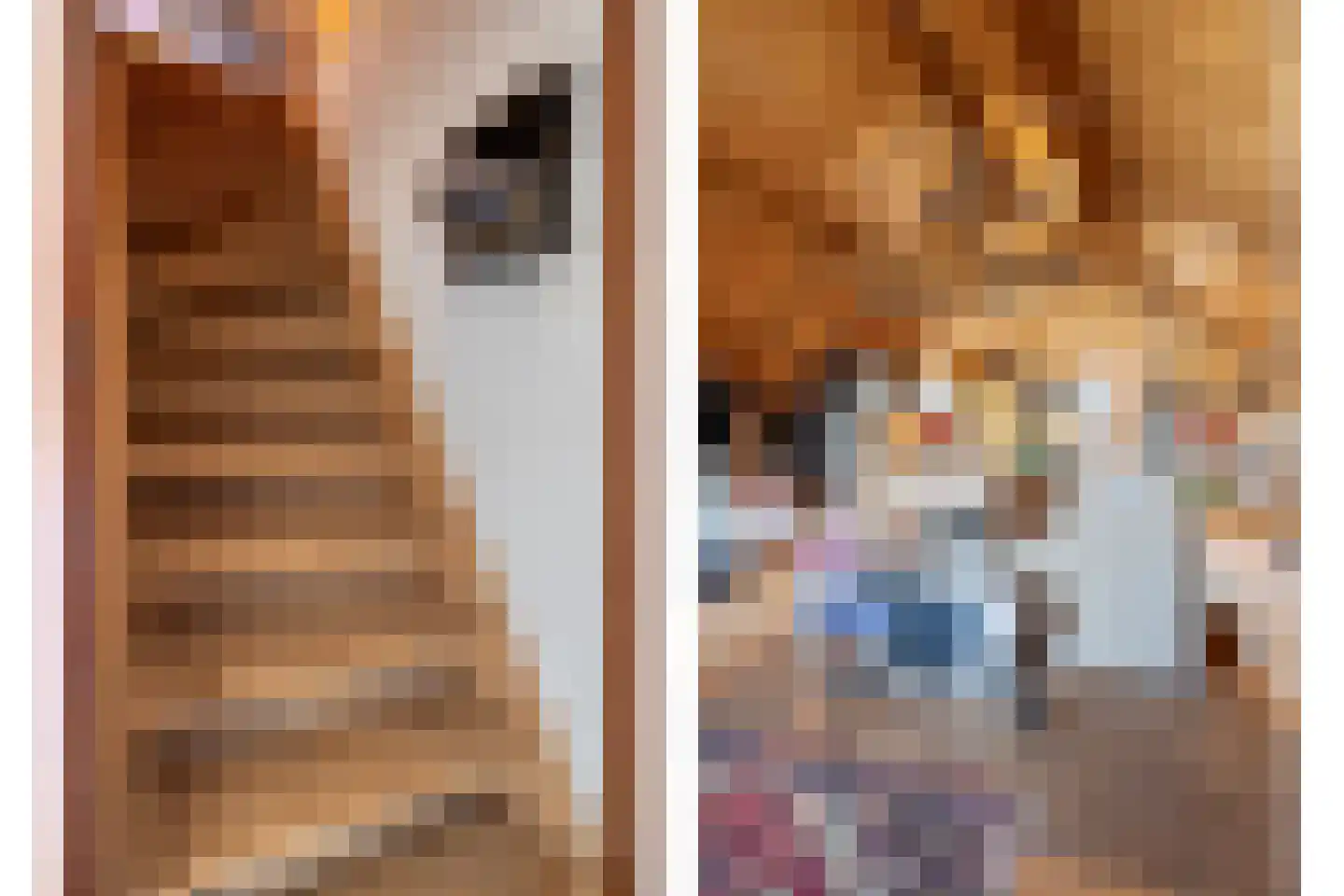 Nobelstraat 7 Nieuw Namen thumbnail 26