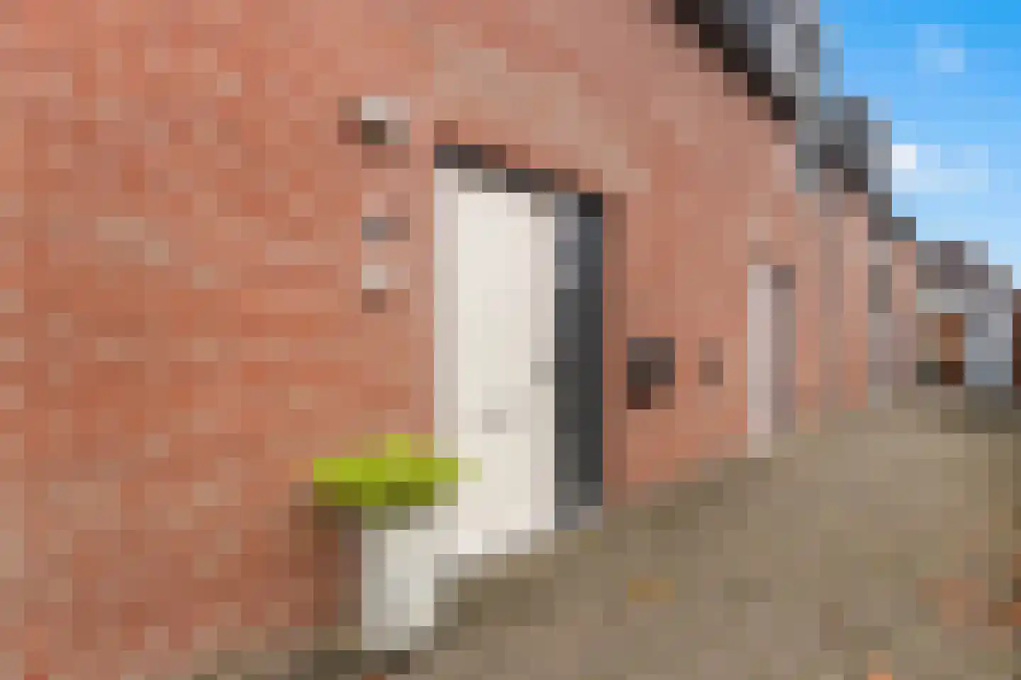 Nobelstraat 72 A Oud-Beijerland thumbnail 4