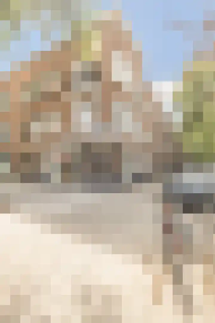 Nobelstraat 73 B 01 Rotterdam thumbnail 18